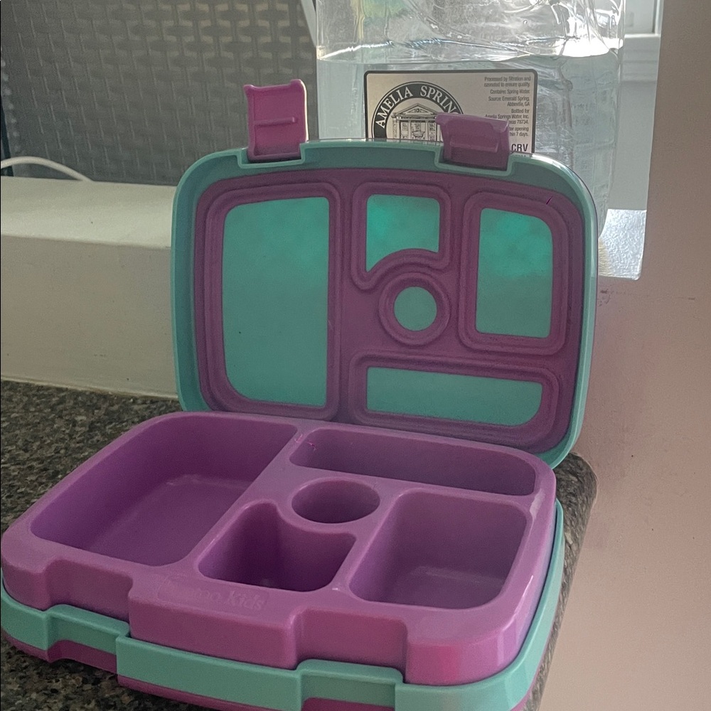 Vibrant Purple and Teal Bento Box
